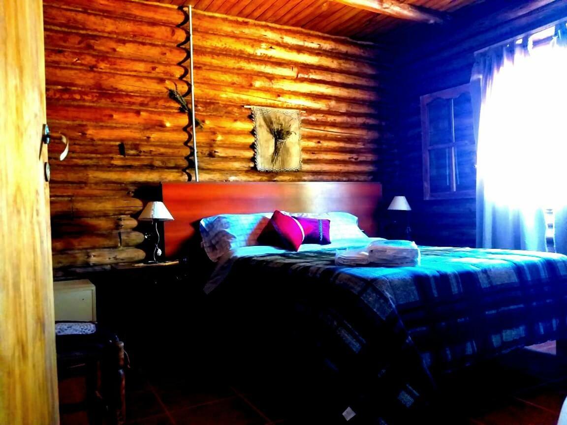 Cabanas Sehuen Uspallata Extérieur photo