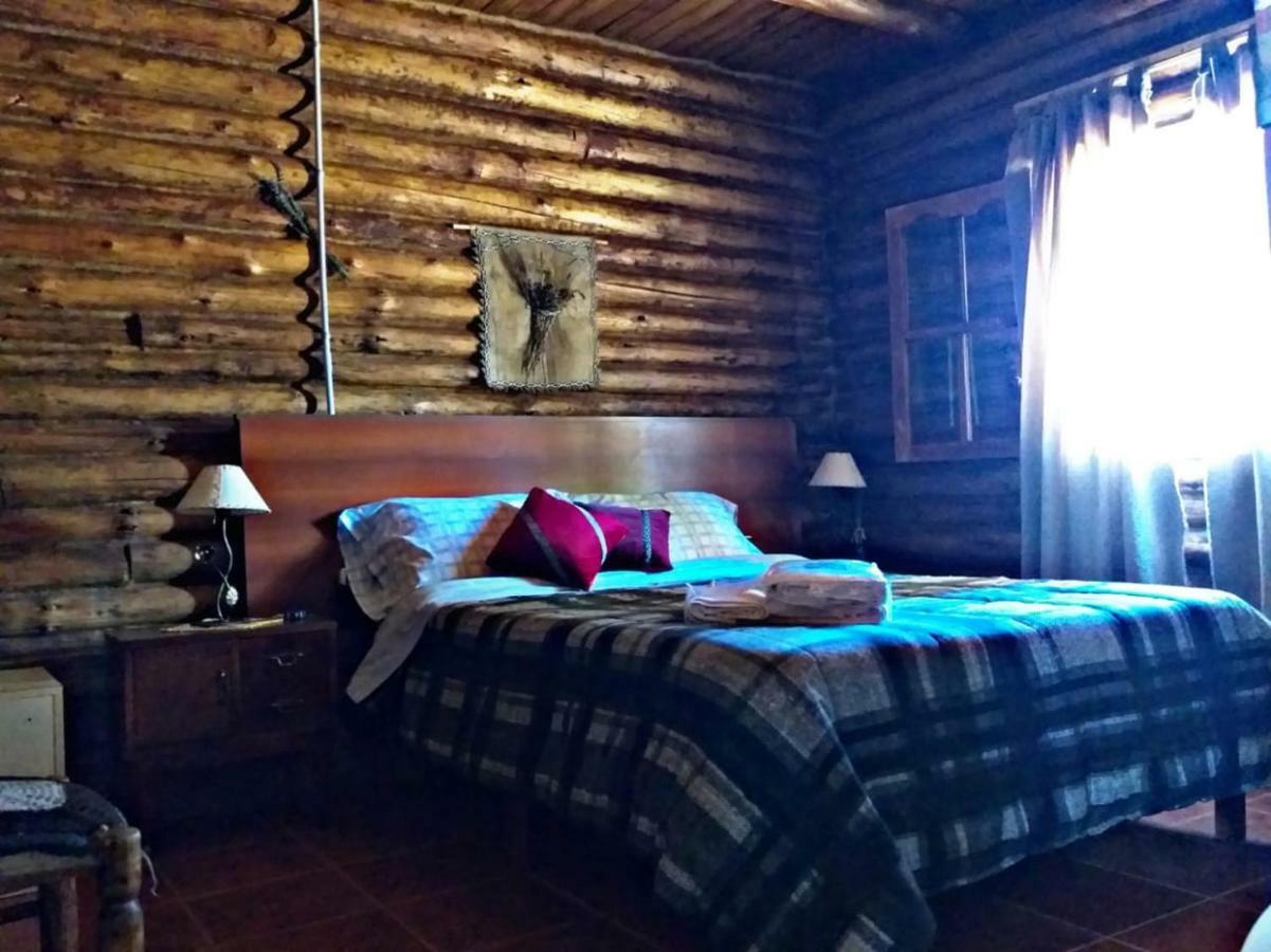 Cabanas Sehuen Uspallata Extérieur photo